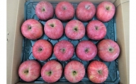 りんご（サンふじ）５ｋｇ　１４～１８玉　特秀品　0056-2428