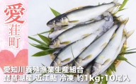 愛知川養殖漁業生産組合 琵琶湖産 近江鮎 約1kg(10尾) 冷凍