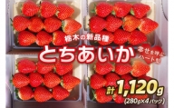 幸せを呼ぶハート型 栃木の新品種[とちあいか]280g×4P[12月より順次出荷]|いちご 苺 フルーツ 果物 産地直送 [0370]