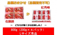 さくらんぼ品種おまかせ（佐藤錦か紅秀峰）Ｌサイズ　秀品　８００ｇ（２００ｇ×４パック）フードパック入り　0020-2402