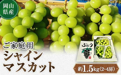 ご家庭用 シャインマスカット【1275134】 333201 - 岡山県津山市