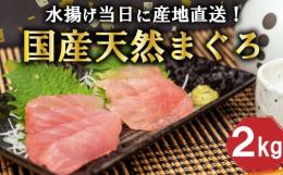 19隻の自社マグロ漁船が釣り上げた、ビンチョウマグロを水揚げ港より直送致します！ 中間業者を通さずに、水揚げ当日にさばいて直送するから鮮度は抜群！ ーーーーーーーーーーーーーーーーーーーーーーーーーー