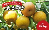 梨界のサラブレッド　あきづき（5kg）