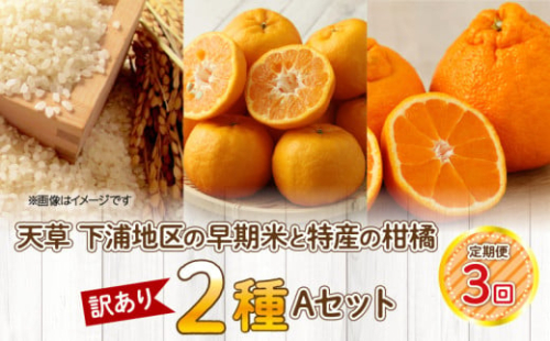 S040-T05_【定期便3回】天草 下浦地区の早期米と特産の柑橘2種Ａセット(訳あり)【先行受付】