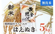 V04-002　【令和4年産米】はえぬき無洗米5㎏（5kg×1袋）