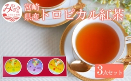 【ふるさと納税】トロピカル紅茶 3点 セット_M054-005