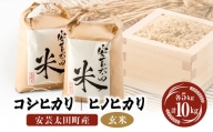 ＜令和5年産＞コシヒカリ・ヒノヒカリ玄米食べ比べセット　計10kg【1282311】