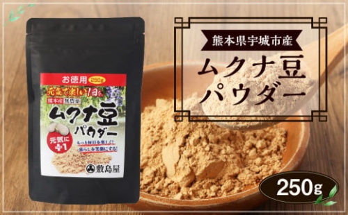 熊本県宇城市産 ムクナ豆 （八升豆） パウダー 250g×1袋 美容 健康