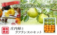 A03-627　鶴岡の美味しいフルーツ★庄内柿とラフランスのセット