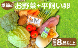 季節のお野菜8~10品と平飼い6個(破損保証2個含む) の詰め合わせのセットです。山々に囲まれた自然溢れる地域であり、綺麗な空気・水に囲まれた益田市から、取れたて旬のお野菜とこだわりの平飼い卵をお届け