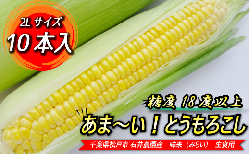 ES002 石井さん家のとうもろこし 10本入