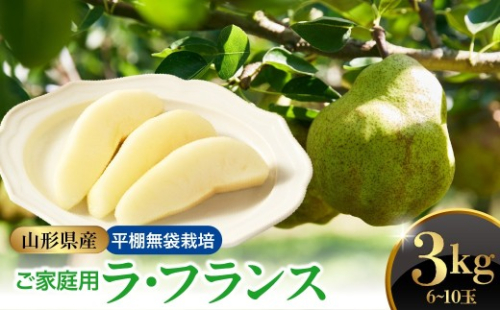 西洋梨（ラ・フランス）３ｋｇ　ご家庭用　0052-2605 336078 - 山形県上山市