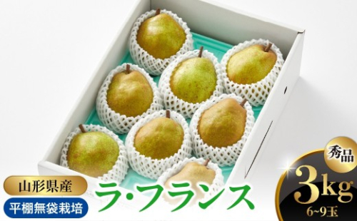 西洋梨（ラ・フランス）３ｋｇ　0052-2606 336079 - 山形県上山市