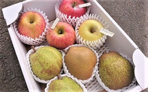 ラ・フランスとりんご２品種以上の詰合せ　３ｋｇ　ご家庭用　0075-2211 336180 - 山形県上山市