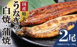 創業80年を超える鰻専門問屋 樋口商店では、厳選された鹿児島、宮崎県の国産うなぎ（ジャポニカ種）の活鰻を使用してます。一尾一尾を手作業で選別し、手作業で捌き、鰻の個体差を見極め手作業で焼き上げておりま