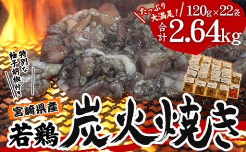 宮崎県産 若鶏 炭火焼 計2.64kg たっぷり22パック 宮崎の名店「肉と魚あおき」_M210-003_01