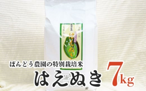 A04-009　【令和4年産】ばんどう農園の特別栽培米はえぬき7kg