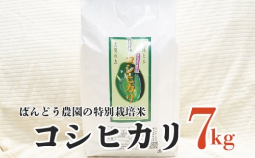 A04-010　【令和4年産】ばんどう農園の特別栽培米コシヒカリ7kg