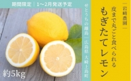 [1〜2月発送] 大崎上島産 皮まで丸ごと食べられる!もぎたてレモン約5kg