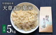 S061-010_令和5年産 特別栽培米 天草五ッ星米 玄米 5kg
