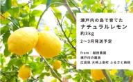 [2〜3月発送] 大崎上島産 越田農園のナチュラルレモン 約3kg
