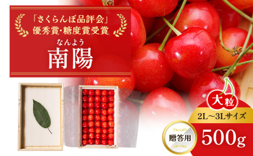 先行受付 北海道 仁木町産 贈答用 さくらんぼ 【 南陽 】 桐箱入 2L～3Lサイズ 500g 果物類 フルーツ チェリー サクランボ  [嶋田茂農園匠] 33880 - 北海道仁木町
