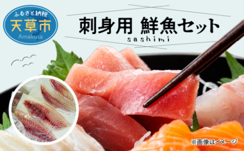 S121-003_刺身用 鮮魚セット 339072 - 熊本県天草市