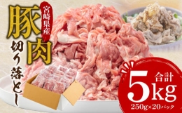 【ふるさと納税】宮崎県産 豚肉 切り落とし 250g×20 合計5kg_M144-016