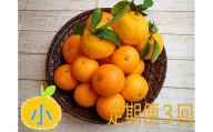 [4月価格改定予定] [定期便3回] みかん ⑦自然塾 季節の柑橘詰合せ 小