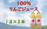 A-06　信州１００％リンゴジュース（1L瓶×2本）