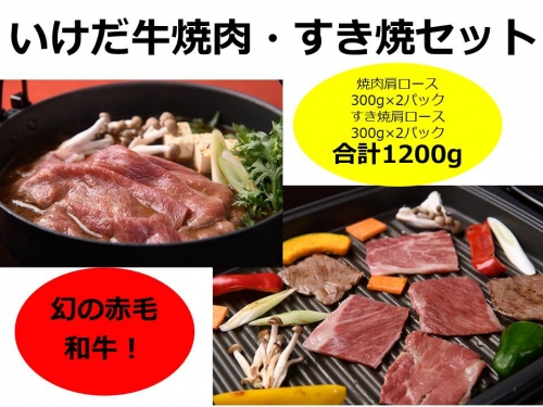 北海道　いけだ牛焼肉・すき焼きセット1.2kg【C011-3-1】