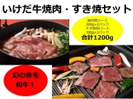 北海道　いけだ牛焼肉・すき焼きセット1.2kg【C011-3】