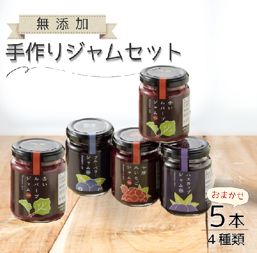 北海道手作りジャム4種セット(140g×5個）無添加 ジャム セット ジャム瓶 ブルーベリー ハスカップ 詰合せ ギフト 無添加ジャム 詰め合わせ 送料無料 ふるさと納税 33997 - 北海道池田町