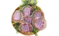 梅干し 熊野乃梅「昔ながらの梅」小分け 6パックセット 160g×6