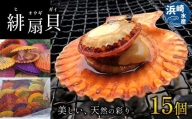 浜崎水産の緋扇貝 15個