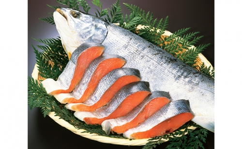 北海道えりも【マルデン特製】新巻鮭姿切身約2kg～2.5kg