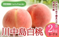 [先行予約][菅野農園FruitsProvider]桃 川中島白桃 2kg(5〜7玉) F20C-605