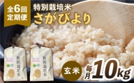 【全6回定期便】特別栽培米 さがびより 玄米 10kg【だいちの家】[HAG020]