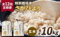 【全12回定期便】特別栽培米 さがびより 玄米 10kg【だいちの家】[HAG021]
