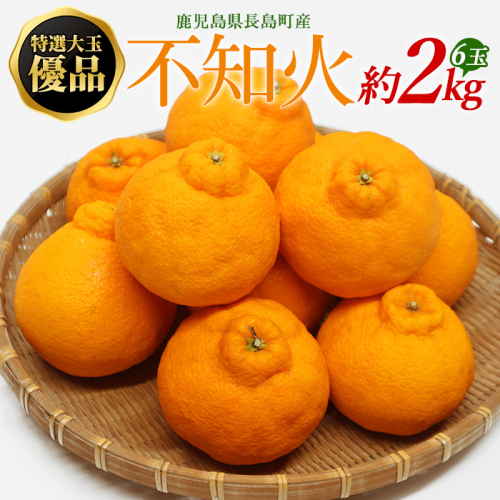 特選大玉 優品不知火６玉入り約２kg 【山上農園】yamagami-772 342420 - 鹿児島県長島町