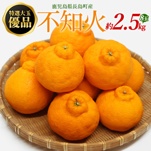 【先行予約】特選大玉 優品不知火 ８玉入り約2.5kg 【山上農園】yamagami-7373 342422 - 鹿児島県長島町