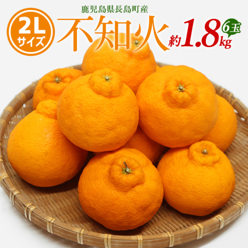 不知火 2Lサイズ 6玉入り約1.8kg 【山上農園】yamagami-774 342429 - 鹿児島県長島町