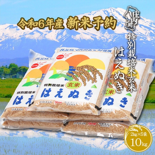 新米受付　令和6年産米　特別栽培米玄米はえぬき　10kg 342450 - 山形県庄内町