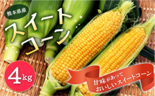 熊本県産 スイートコーン 4kg 高糖度 新鮮 とうもろこし 342507 - 熊本県八代市