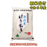 新米受付　令和5年産米　特別栽培米はえぬき無洗米　5kg
