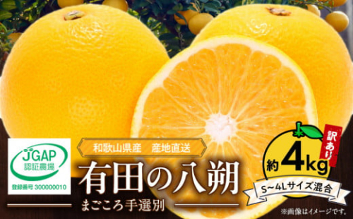 ZE6379n_【2026年先行予約】有田の八朔 (はっさく)【訳あり　家庭用】4kg (S～4Lサイズ混合)　まごころ手選別 342688 - 和歌山県湯浅町