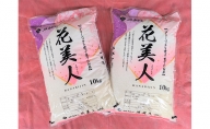 JAあかし 特別栽培米花美人20kg（10kg×2袋）
