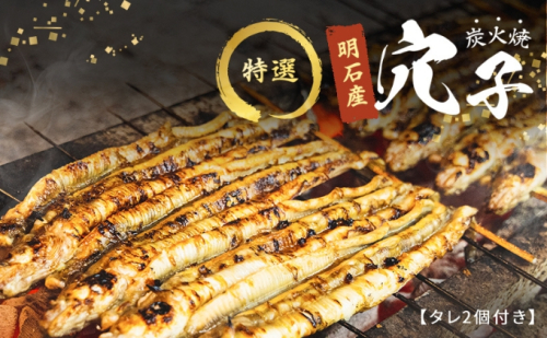 特選明石産炭焼き穴子（タレ2個付き） 343029 - 兵庫県明石市