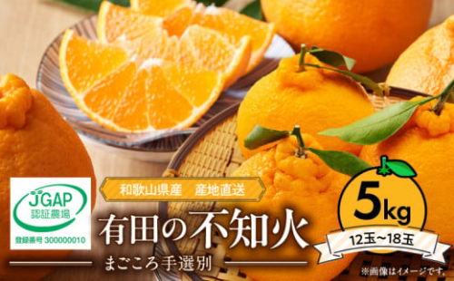 ZE6383n_【2026年先行予約】有田の不知火(しらぬひ) 5kg　12～18玉 （２L～４Lサイズ） 手選別 国産 有田のしらぬひ 産地直送 有田 有名 柑橘 果物 果実 フルーツ バランスの良い甘さ 甘い 食品 食べ物 あしのや お取り寄せ 和歌山県 湯浅町 送料無料 343058 - 和歌山県湯浅町