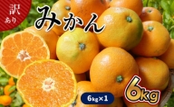たまな産 温州みかん 6kg | フルーツ 果物 くだもの 柑橘 ミカン みかん 温州ミカン 熊本県 玉名市